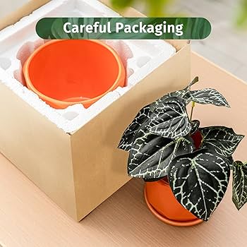 Amazon.com: Sin wings Ceramic Plant Pots, 6.7 + 5.3 + 3.9